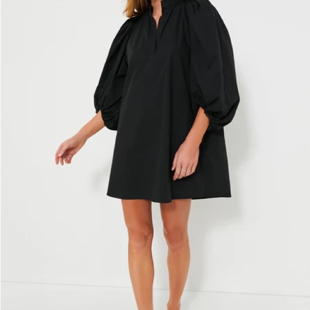 Pomander Place Puff Sleeve Dress Brand New